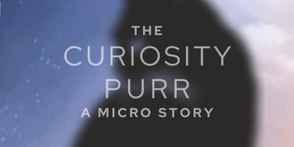 The Curiosity Purr Ever wonder what goes in the mind of a cat? Come take a