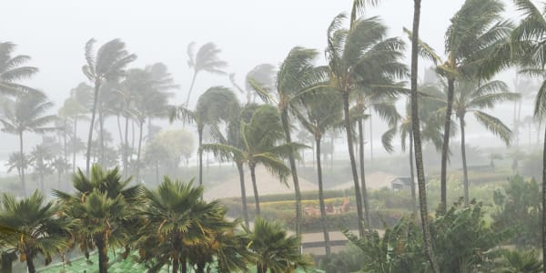 Hurricane Aftermath My heart goes out to the families of those who lost