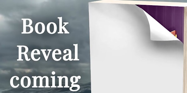 Reveal Friday! Hey Friend,The soft reveal is almost over. This Thursday, if