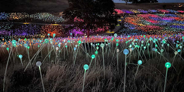  We Need Magic Realism More Than Ever I’ve used Francesca Lia Block’s Witch