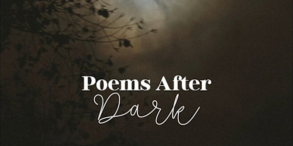 Book FOUR Who doesn't love a good spicy book? I do, my bookshelf is, well,