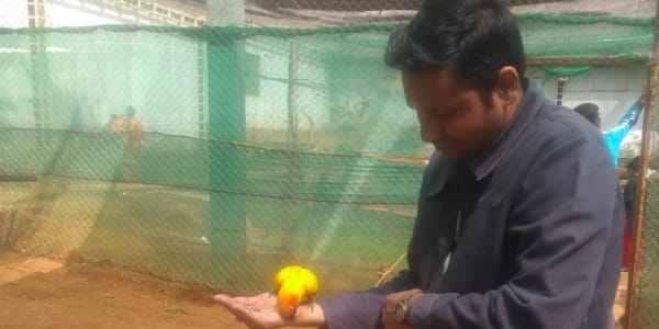 A post about Leadership Nurturing Talent