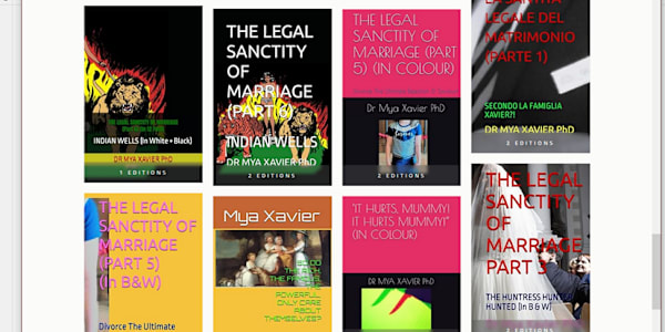 What AI had to say about my Legal Sanctity of Marriage Series:- Book 7