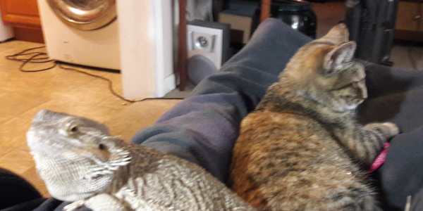 Not the first &nbsp;Elliot knows this—on some deep, ancient level.He may