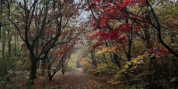 A Day In My Life.... I don’t consciously use people or places I know in my