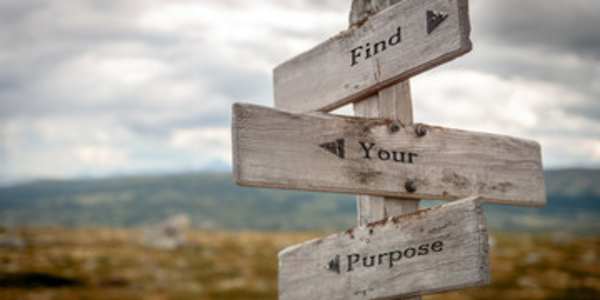 Your Life's Purpose I regularly ask people what their life's purpose is.