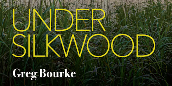 Under Silkwood by Greg Bourke: review by Gillian Wills Before Christmas I