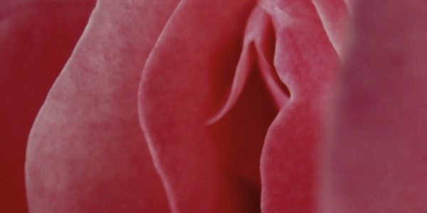 Stories on Patreon Megan Landon's spicier stories have migrated to Patreon