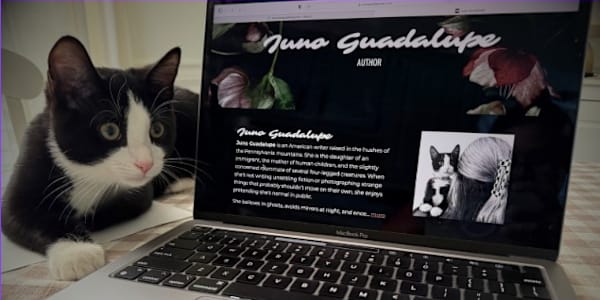 Big News – The Lights of Greyfare Featured on BookBub! I’m thrilled to