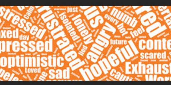 Words Words are an author's most valuable currency, traded for passion,