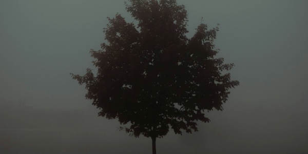 Words without Meaning  Words that speak to no one have no