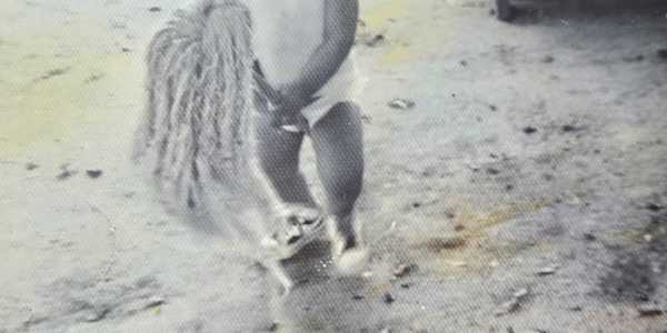 Your Day Can Only Ever Be As Good As You Make It The worst thing one can do