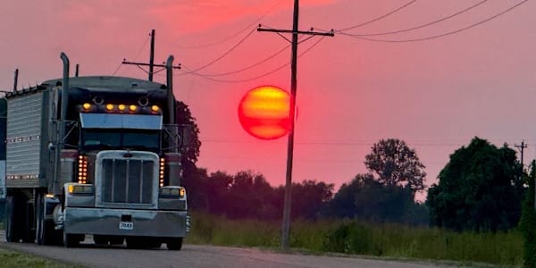 Y'all Ready? T.A. Rosewood's "Country Hearts" Gallops Onto Amazon Today!