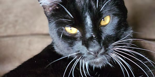 Steal Your Best Moments What things make you happy? Don't you wish you