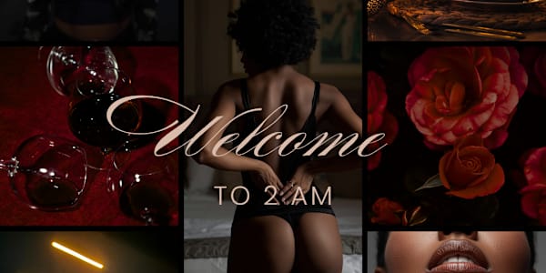 Introducing the 2AM Series An Erotic Romance Collaboration by L.B. Gaines,