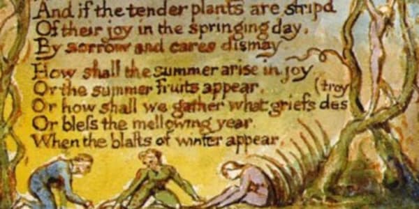 Blake’s “The School Boy” and What’s Wrong with Adults I’m not an avid fan