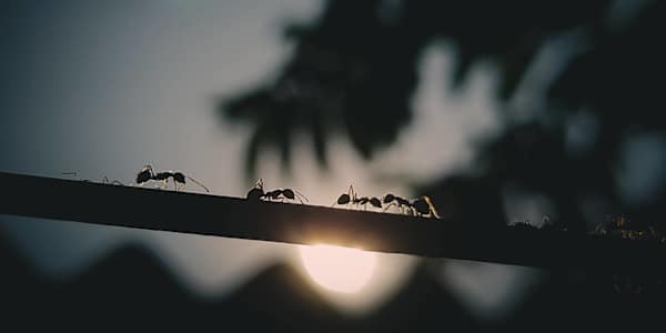 The Singular Against &nbsp;The singular lost in the collective,as in music,