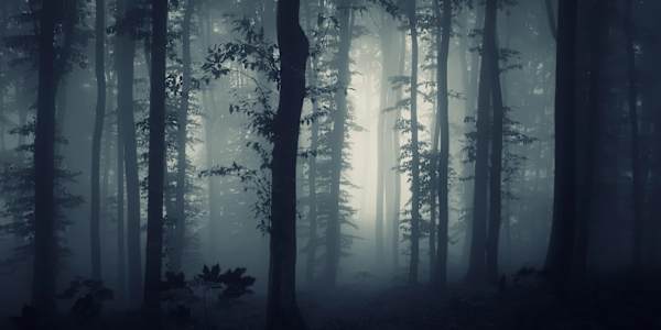 Join My Mailing List! Get exclusives, news &amp; updates about my