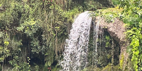 Burial or Cremation: What Does the Bible Really Say? Let’s be clear from