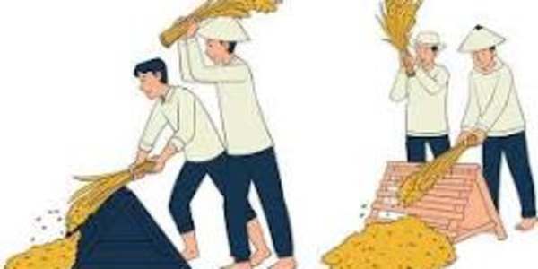 Winnowing It has been observed that the more outrageous a claim is, the
