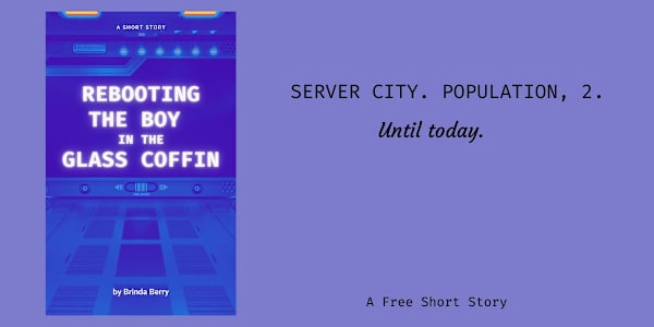 Rebooting the Boy in the Glass Coffin Server City. Population, 2.In the