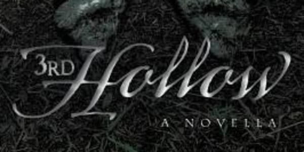 My Reviews: 3rd Hollow by David Atkins Purists and grammar fascists will