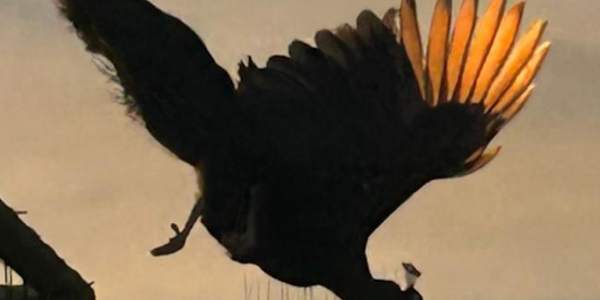 magic in small moments I cannot believe it's been so long since I posted