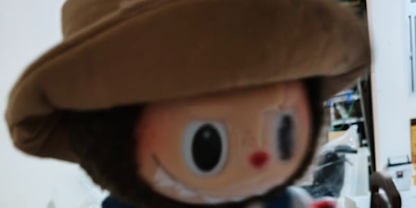 Got my labubu in October  Got my labubu in October and went for the