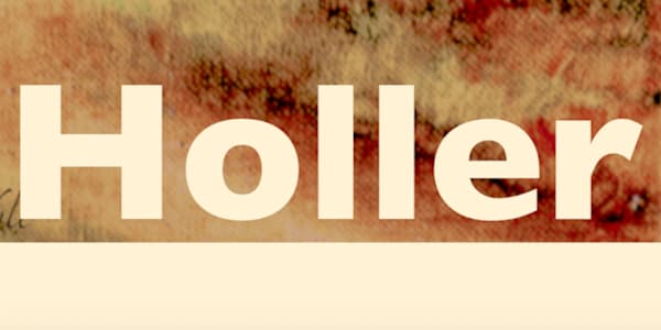 2026 Preview One of the novels in the works for 2026 is GOOSE CREEK HOLLER,