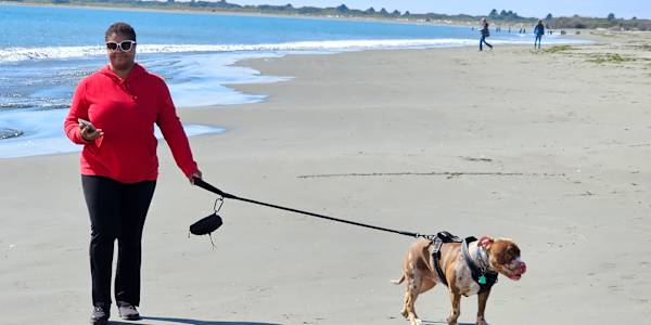 What is love? Haddaway may have asked it the best. It's been called a many