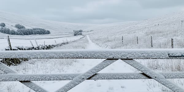 Stepping Into the Quiet - Reflections for January 2026 January has always