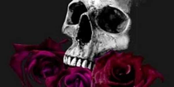 New Designs in Store 