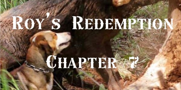 Roy's Redemption Chapter 7 Chapter 7&nbsp; &nbsp; &nbsp; &nbsp; &nbsp;