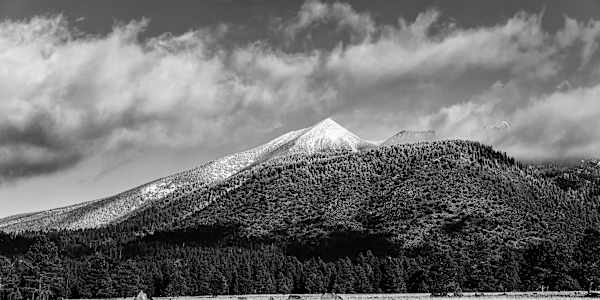 Seeking Solace in the Pines | Travel Essay 