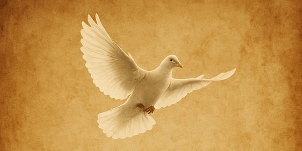 There is no true discernment without the Holy Spirit. In a world