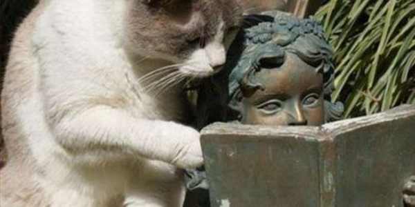 1/24 Saturday Started reading: A Short Walk Through a Wide World by Douglas