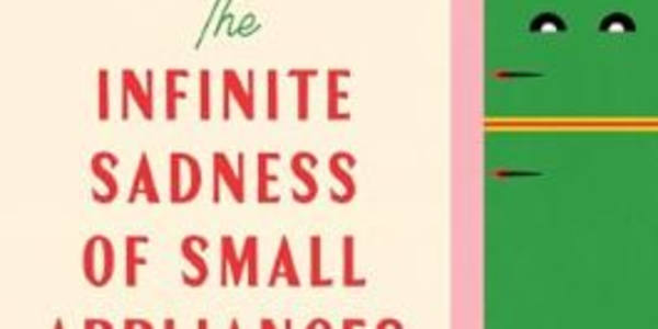 The Infinite Sadness of Small Appliances: A Chevron Ross Book Review Novels