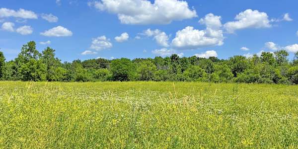 Oddsconsin 30 – Nuclear Missiles in Waukesha (Part 4) Watch World War III