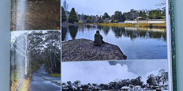Reader feedback. 'Thanks for the great photos. Our family had a lot of fun