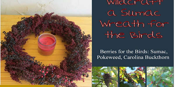 Crafting a Natural, Wild Bird Feeder Wreath Attract wild birds to your yard