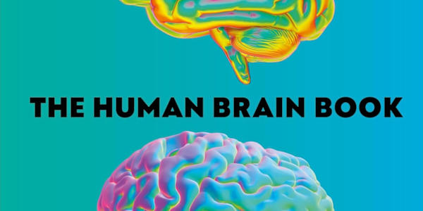 Book Review: “The Human Brain Book” This is a review of The Human Brain