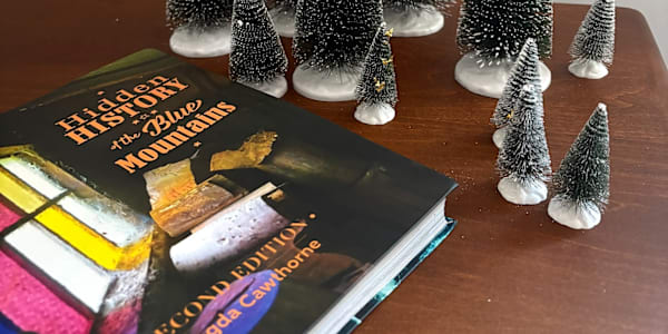 WHERE TO BUY HIDDEN HISTORY Check out these local retailers:&nbsp;Megalong