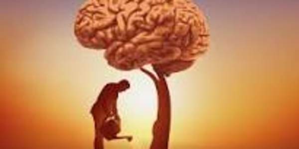 Can & Cannot "We can be knowledgeable with another man's knowledge but we