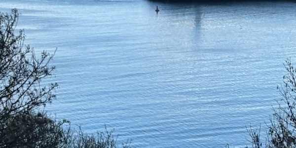 The Man in the Tunnel is available as an e-book and paperback and waiting