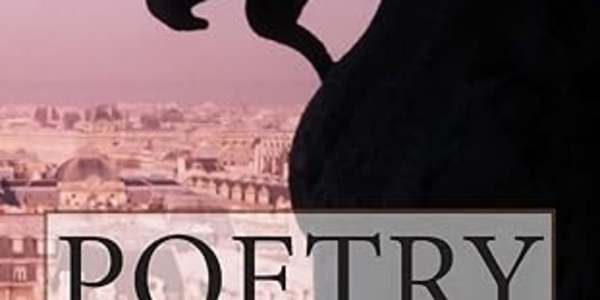 Poetry: Toils Paperback – April 23, 2015 by Vanessa M Chattman (Author)