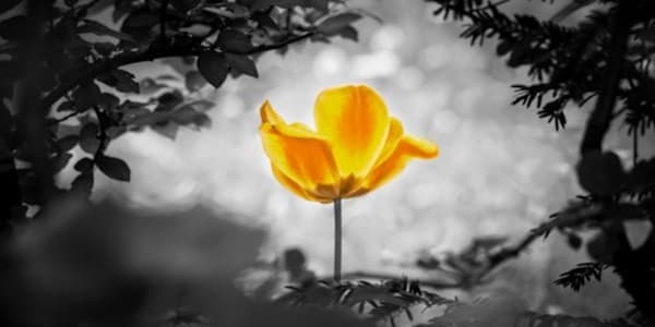 THE ONE-SIDED FIGHT  The world doesn't stop for our grief&nbsp;It just