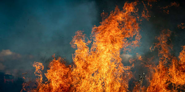 Wildfires in California Wildfires have burned parts of Los Angeles since