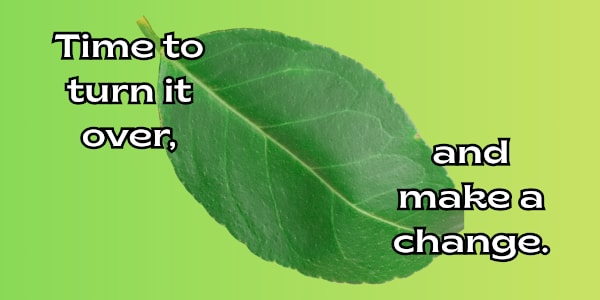 Welcome to my new website! Big changes are occurring within my writing