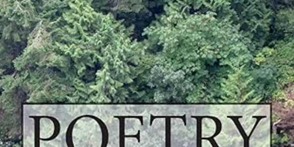 Poetry: Hollow Lakes of Broken Glass Paperback – December 31, 2014 by