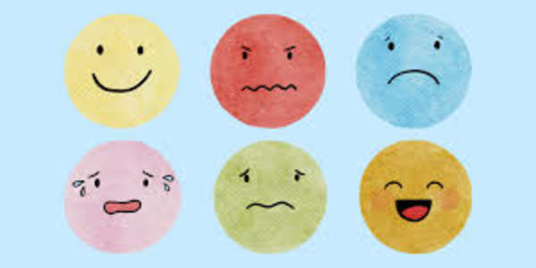 Facts vs Feelings I believe it was Ben Shapiro who said that the facts